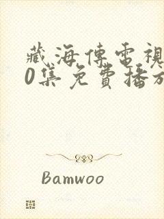 藏海传电视剧40集免费播放