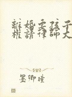 离婚要孩子抚养权请律师大概需要多少钱