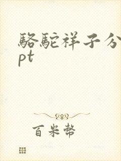骆驼祥子分享ppt