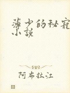 薄少的秘宠甜妻小说