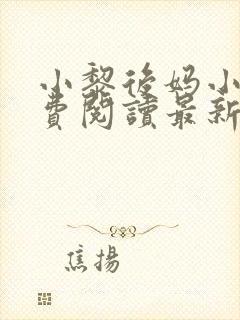 小黎后妈小说免费阅读最新章节更新