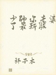 少帅你老婆又跑了最新版