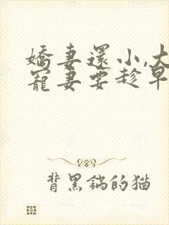 娇妻还小,大叔宠妻要趁早的小说