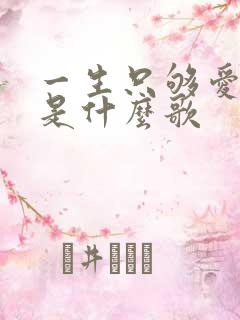 一生只够爱一人是什么歌