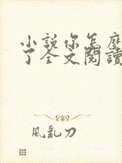 小说你怎么不笑了全文阅读