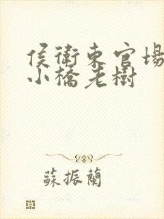 侯卫东官场笔记小桥老树