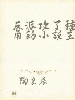 反派攻了种马主角的小说主攻