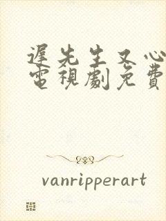 迟先生又心动了电视剧免费观看高清