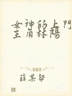 女神的上门贵婿主角林阳