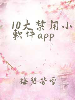 10大禁用小说软件app