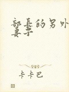 部长的另外一个妻子