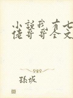 小说我有七个大佬哥哥全文