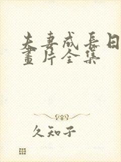 夫妻成长日记动画片全集