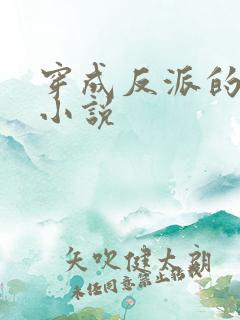 穿成反派的老婆小说