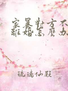 家暴对方不同意离婚怎么办