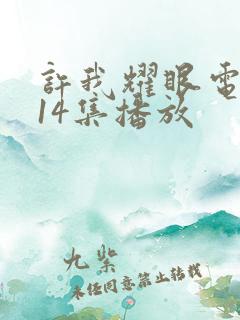 许我耀眼电视剧14集播放