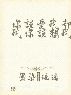 你说爱我却不陪我你说想我却不见我是什么歌