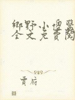 乡野小傻医小说全文免费阅读