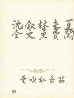 沈叙林未夏小说全文免费阅读