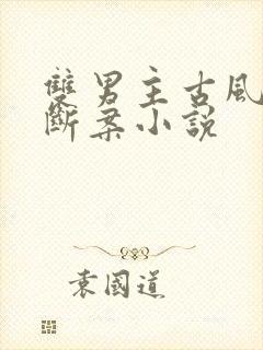 双男主古风推理断案小说