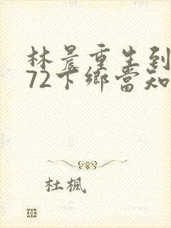 林晨重生到1972下乡当知青小说推荐