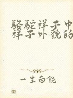 骆驼祥子中描写祥子外貌的句子