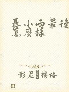 聂小雨最后结局怎么样