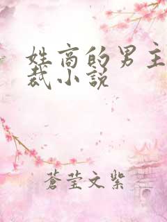 姓商的男主角总裁小说