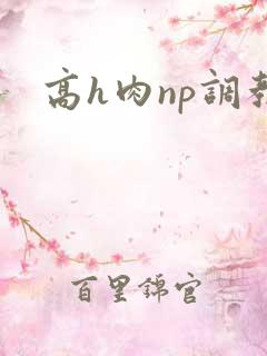 高h肉np调教