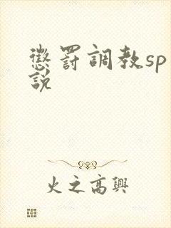 惩罚调教sp小说