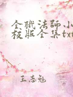 全职法师小说精校版全集txt