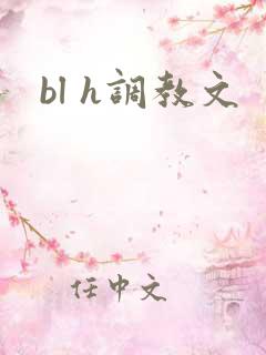 bl h调教文