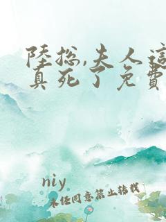 陆总,夫人这次真死了免费阅读