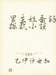 男主姓乔的霸道总裁小说