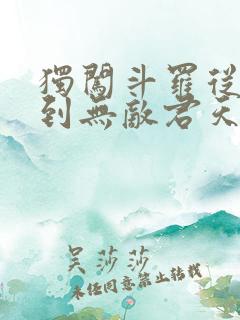 独闯斗罗从穿越到无敌君天麟