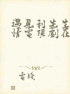 遇见利先生的爱情电视剧在线观看