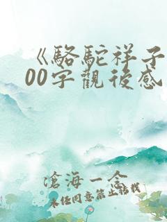 《骆驼祥子》800字观后感