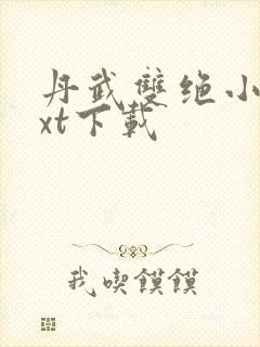 丹武双绝小说txt下载