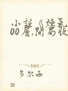 小说《炼气3000层,开局收女帝为徒》