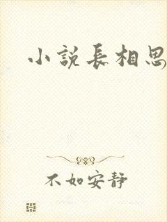 小说长相思番外