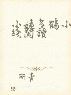 小姨多鹤小说在线阅读