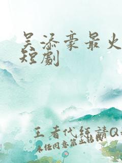 吴添豪最火十部短剧