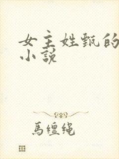 女主姓甄的重生小说