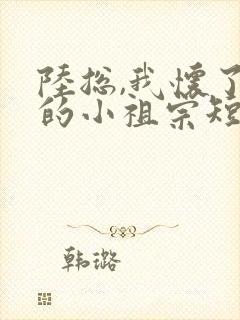 陆总,我怀了你的小祖宗短剧