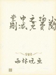 掌中之物小说无删减免费阅读