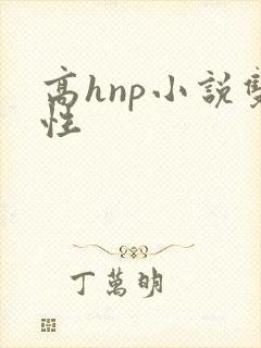 高hnp小说双性