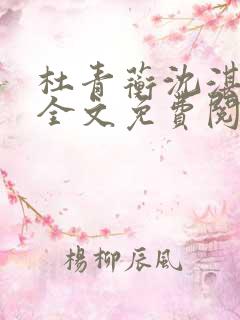 杜青蘅沈湛小说全文免费阅读