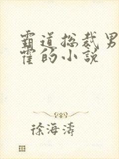 霸道总裁男主姓霍的小说