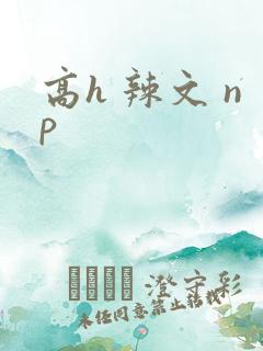 高h 辣文 np