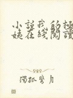 小说我的极品小姨在线阅读